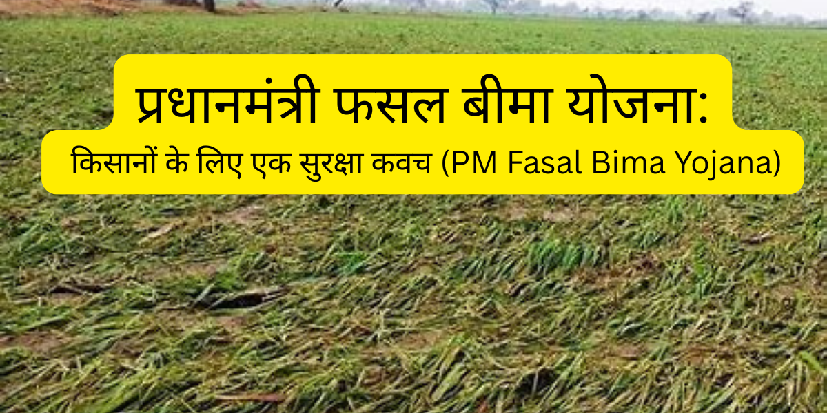 प्रधानमंत्री फसल बीमा योजना: किसानों के लिए एक सुरक्षा कवच (PM Fasal Bima Yojana)