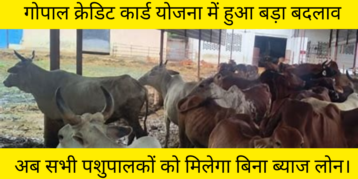 गोपाल क्रेडिट कार्ड योजना में हुआ बड़ा बदलाव